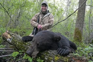 A man standing next to a bear in the woods.