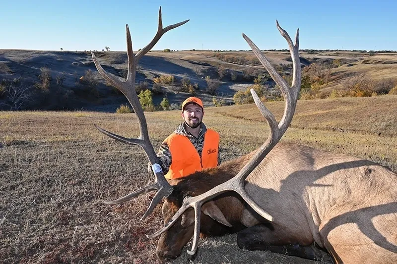 A man in an orange vest standing next to a large deer.