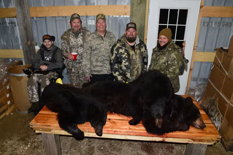 A group of people standing around two black bears.