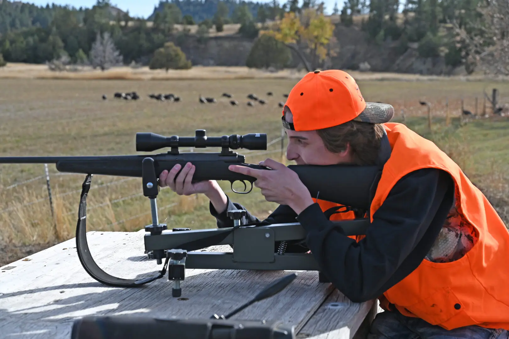 A man in an orange vest is aiming at a deer.