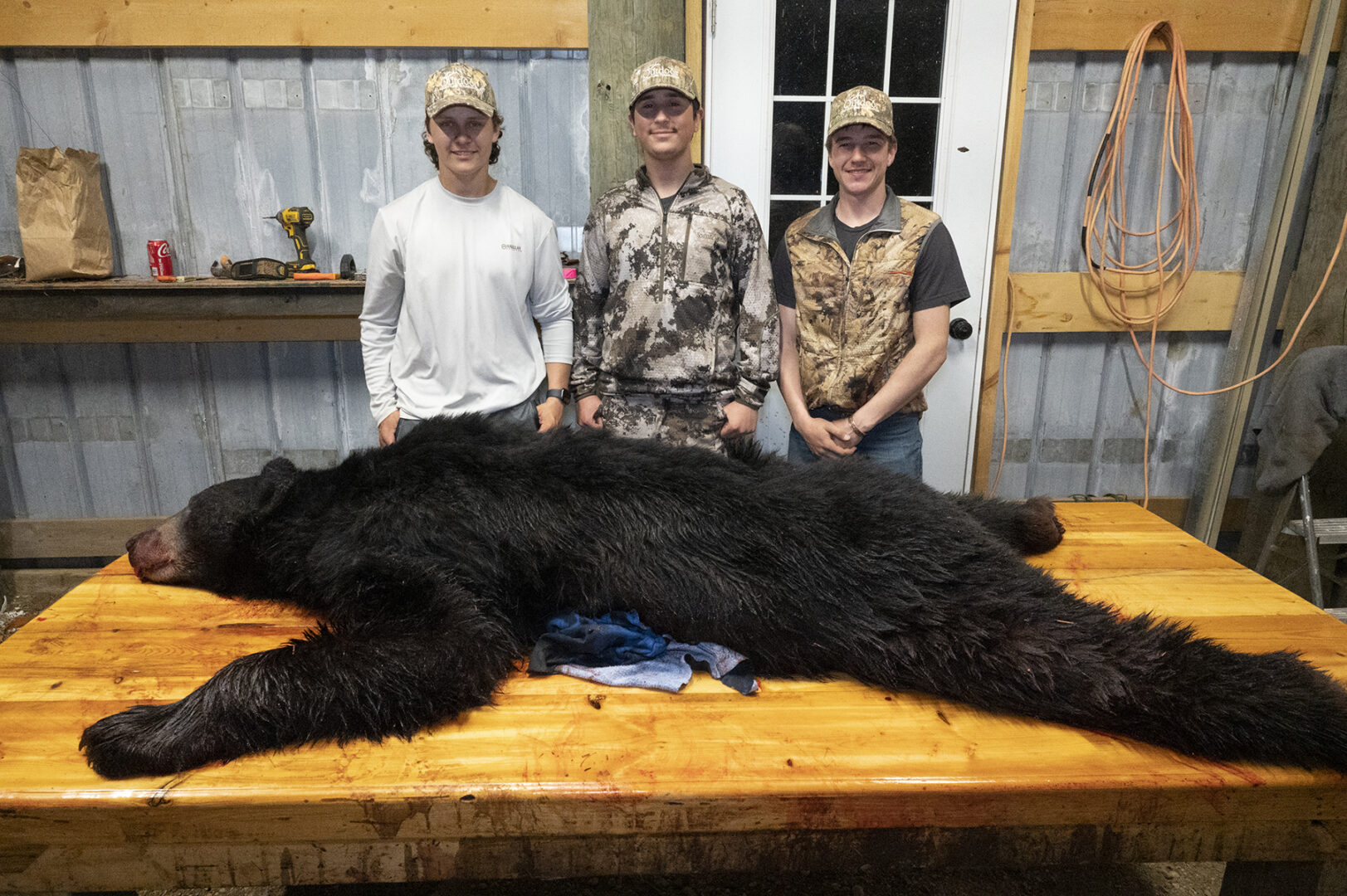 Three young men standing next to a black bear.