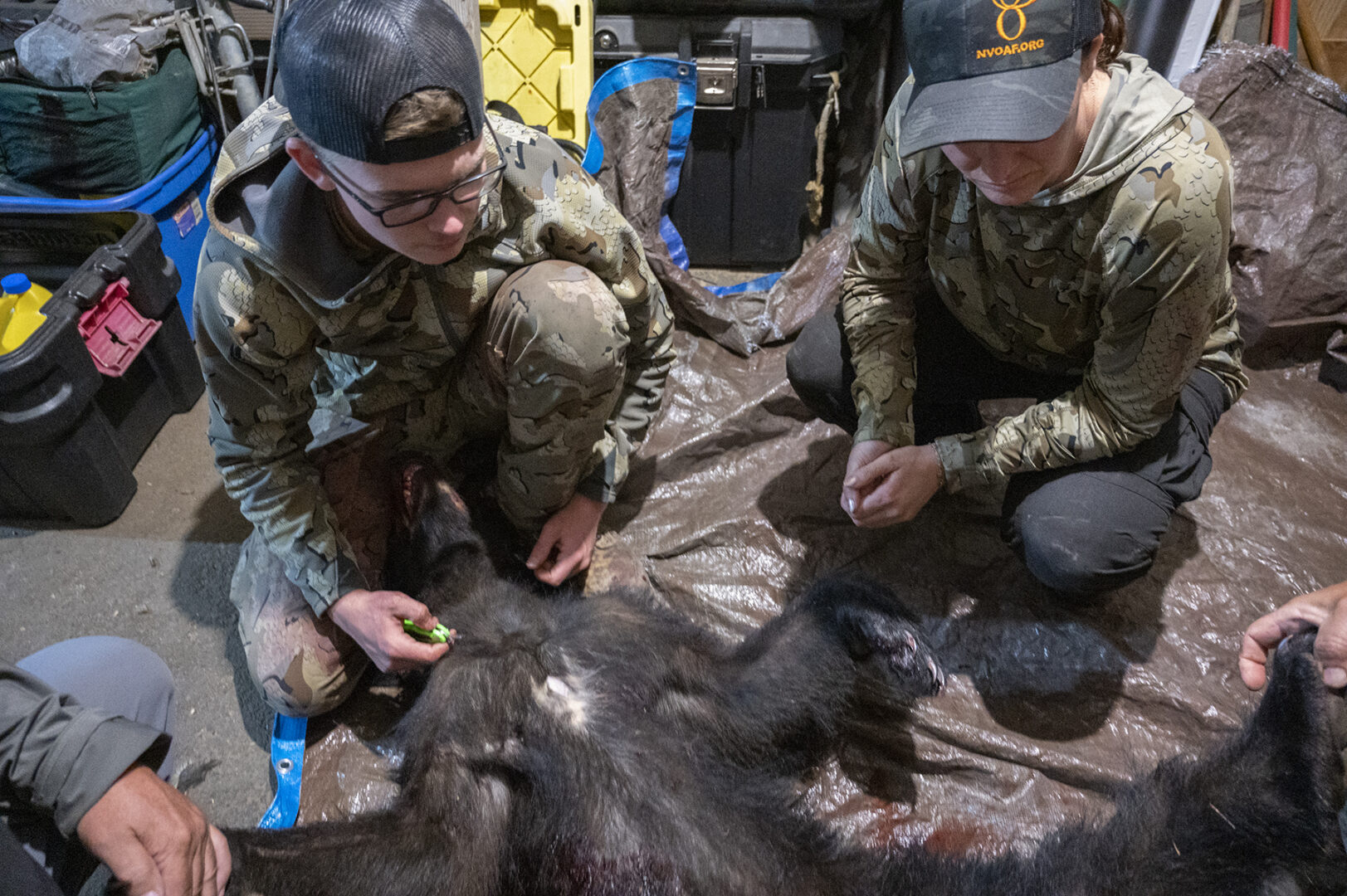 Two people in camouflage sitting on the ground with a dead animal.