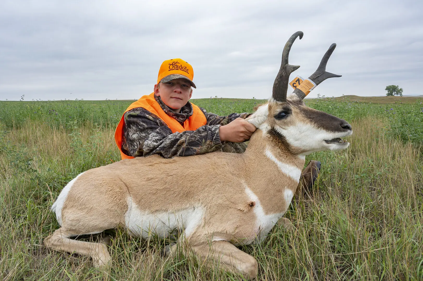 A man in an orange vest is holding the horns of a deer.
