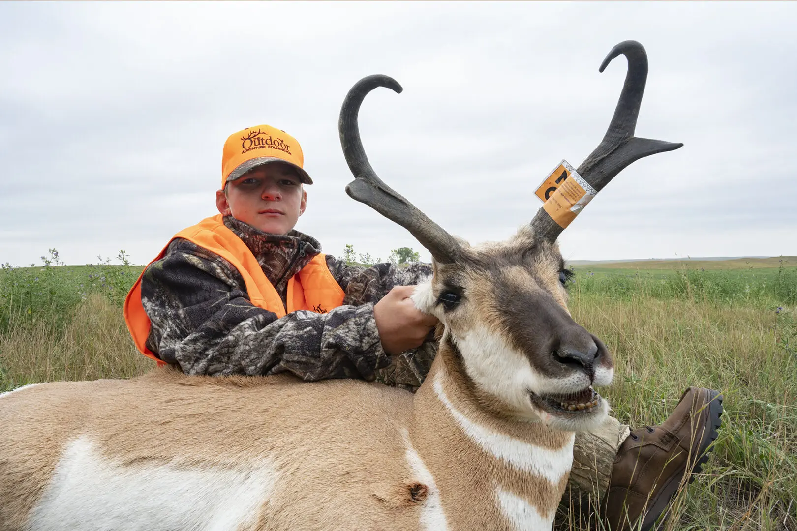 A man in an orange hat is holding on to the horns of a deer.
